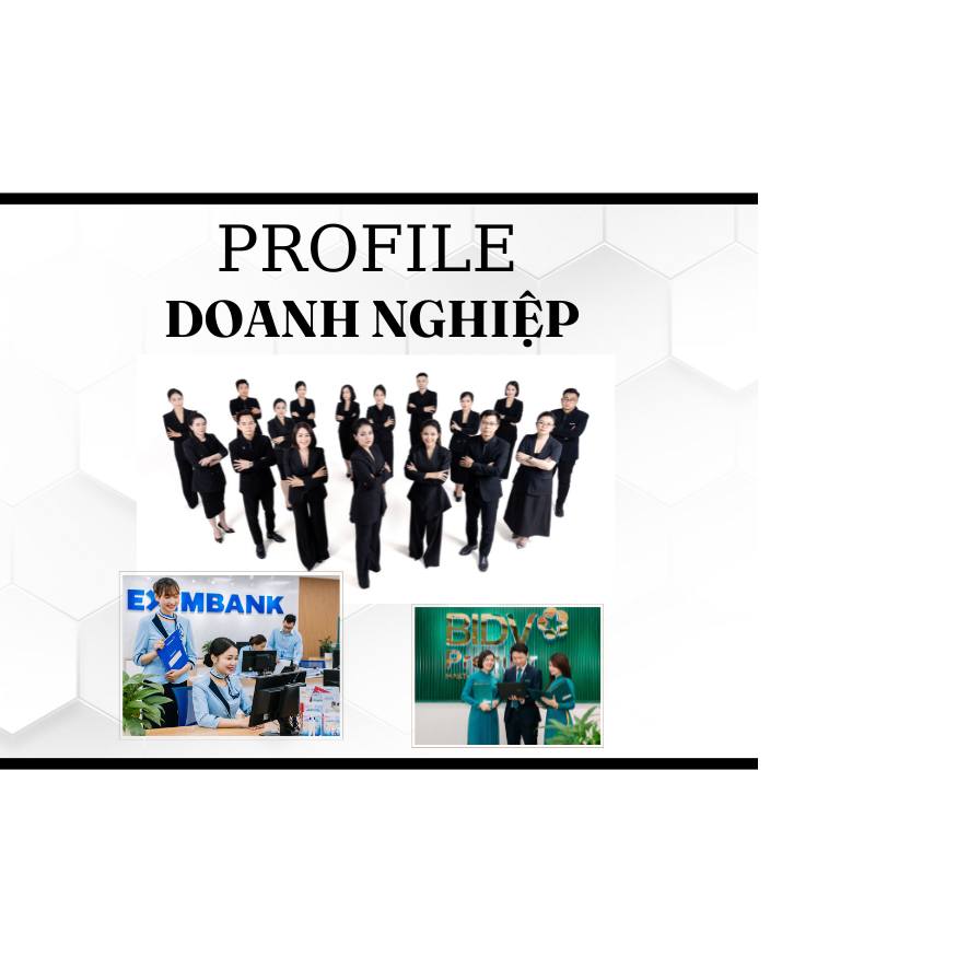 PROFILE DOANH NGHIỆP